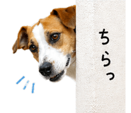 838971300