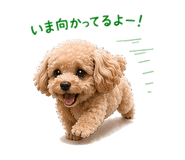 838971825
