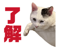 838972060