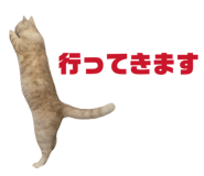 838972061