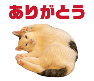 838972063
