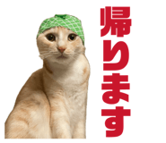 838972070