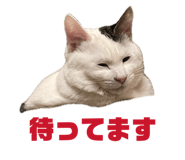 838972071