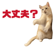 838972073