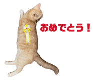 838972077