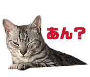 838972078