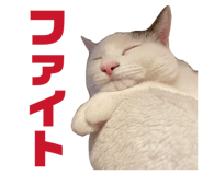 838972080