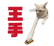 838972083