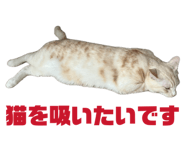 838972087