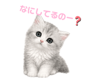 838972183