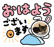 838973241