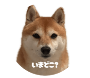 838974089