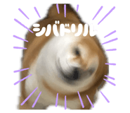 838974095