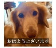 838974122