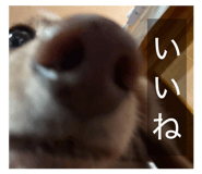 838974123