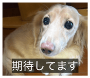 838974124
