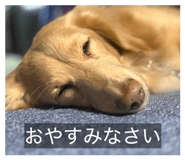 838974129