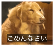 838974130