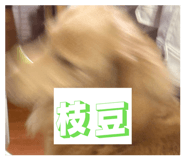 838974132