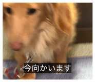 838974134