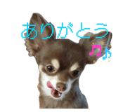838974289