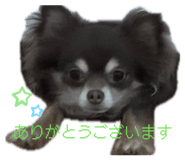 838974290