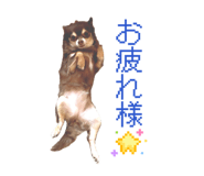 838974293