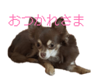 838974294