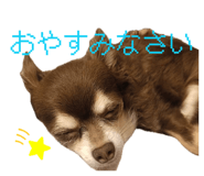 838974302