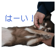 838974303