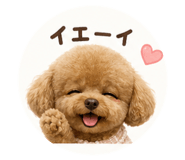 838975567