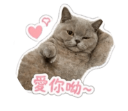 838984014