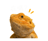 838985368