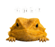 838985370