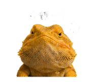 838985371