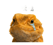 838985375