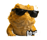 838985376
