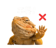 838985381
