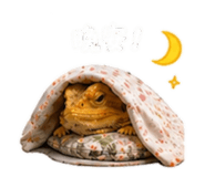 838985383