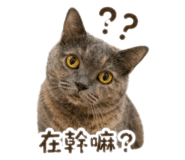 838985439