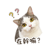 838985447