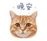 838985754