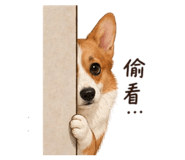 838986132
