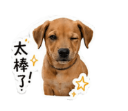 838986278