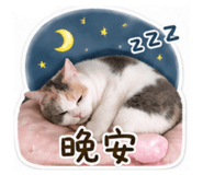 838986329