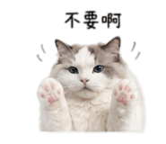838987126