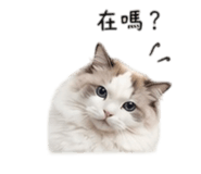 838987131