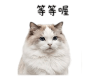 838987132