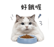 838987136