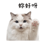 838987140